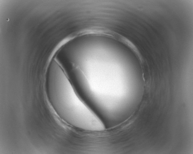 X0000082981146200702011201
