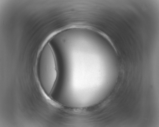 X0000082981147200702011201