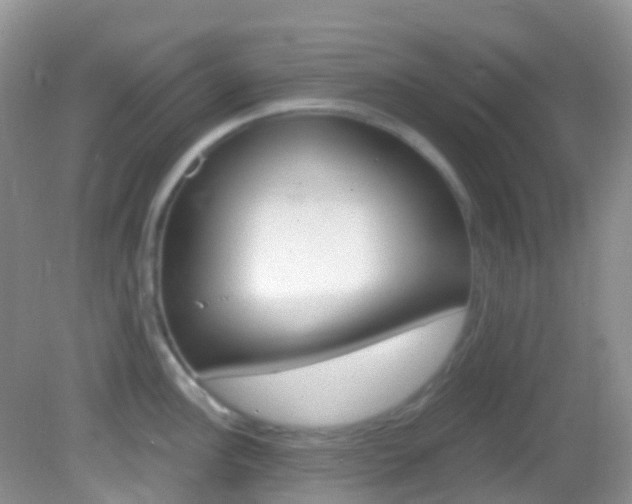 X0000082981148200702011201