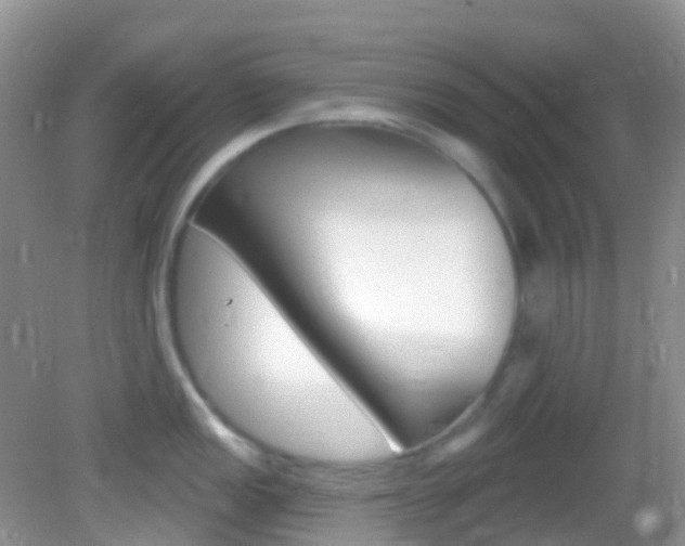 X0000082981149200702011201