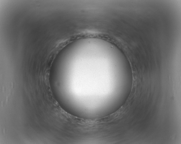 X0000082981157200702011201