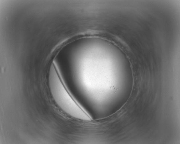 X0000082981160200702011201