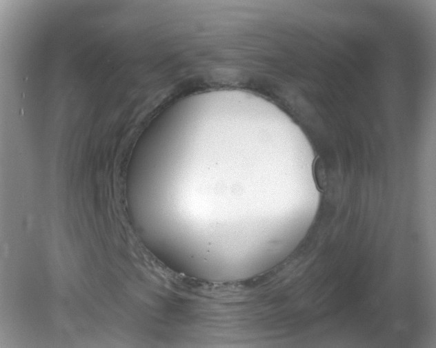 X0000082981201200702011159
