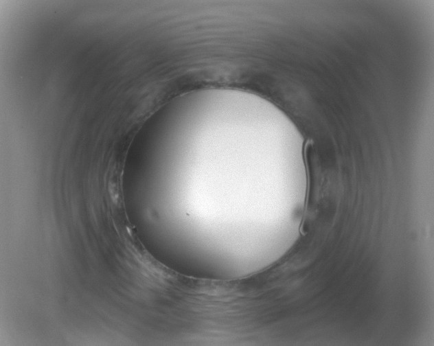 X0000082981202200702011159