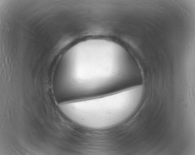 X0000082981213200702011159