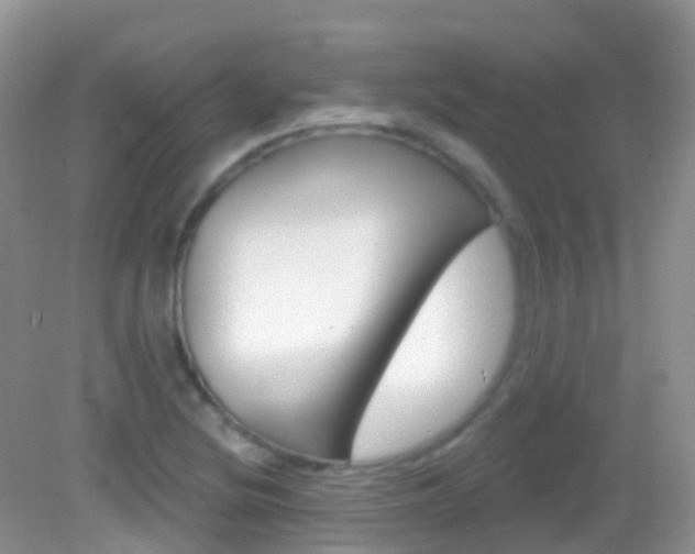 X0000082981220200702011159