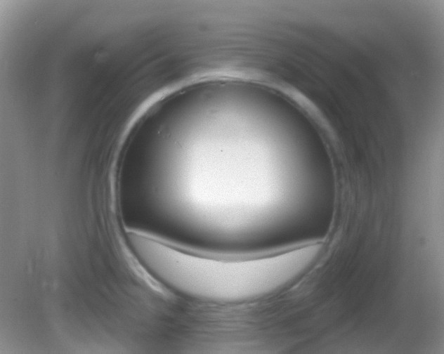 X0000082981238200702011200