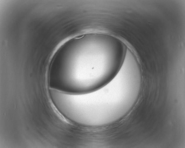X0000082981246200702011200