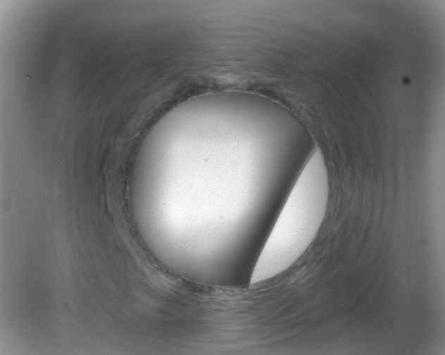 X0000082981249200702011159
