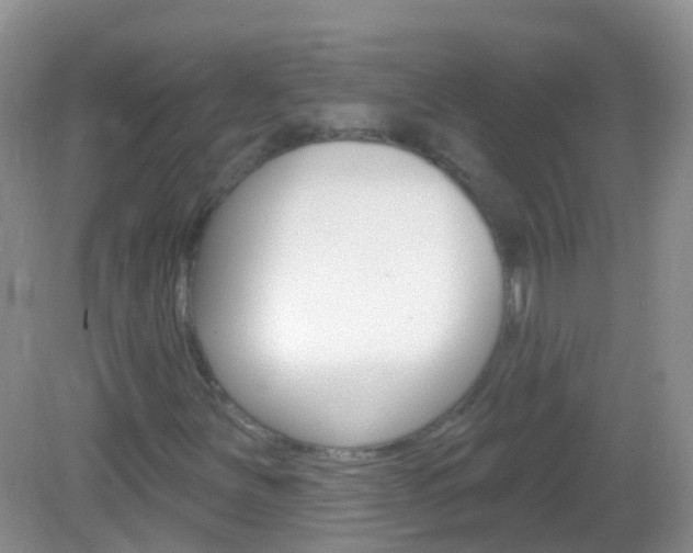 X0000082981251200702011159