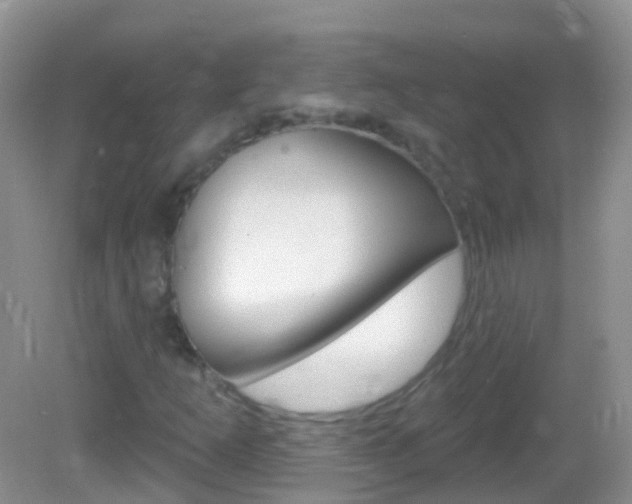 X0000082981253200702011159