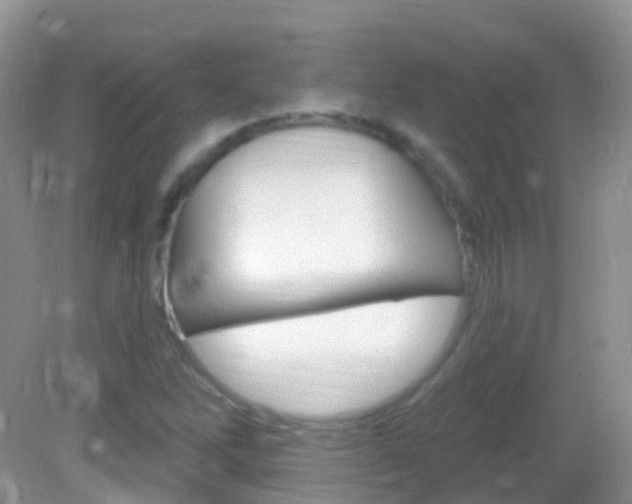 X0000082981262200702011159