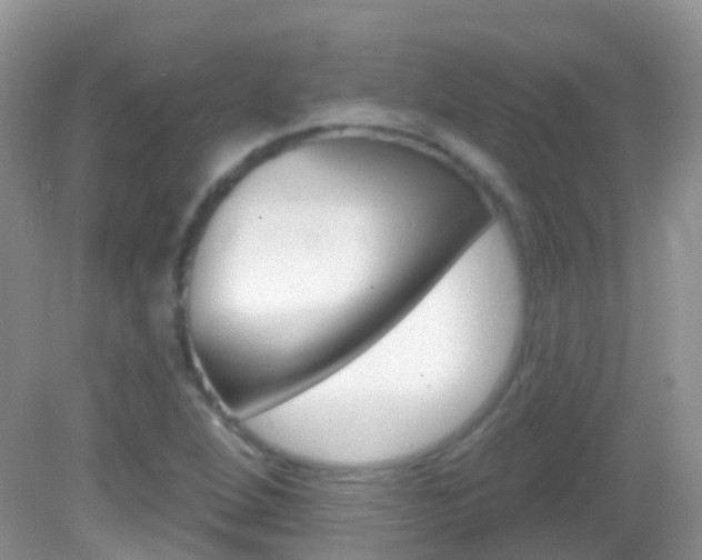 X0000082981264200702011159