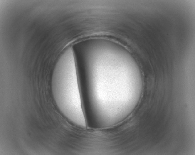 X0000082981265200702011159