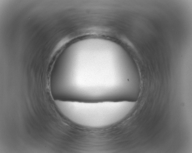 X0000082981267200702011159