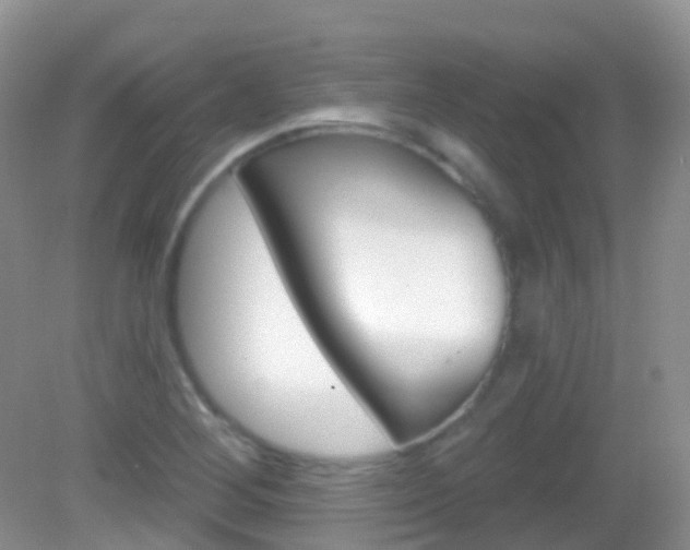 X0000082981268200702011159