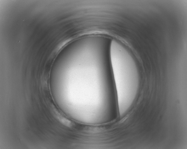 X0000082981273200702011159