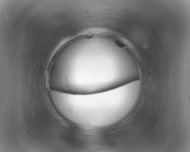 X0000082981275200702011159