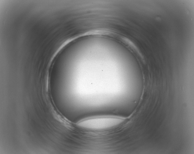 X0000082981276200702011159