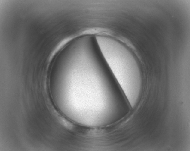 X0000082981277200702011159