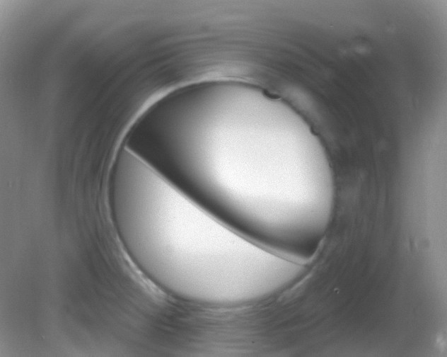 X0000082981284200702011159