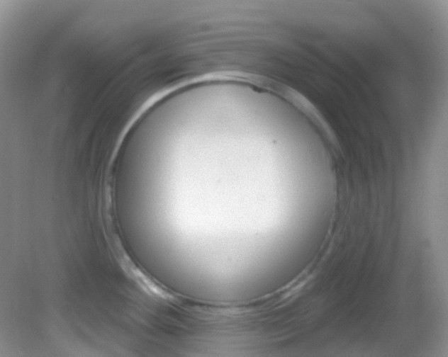 X0000082981292200702011158