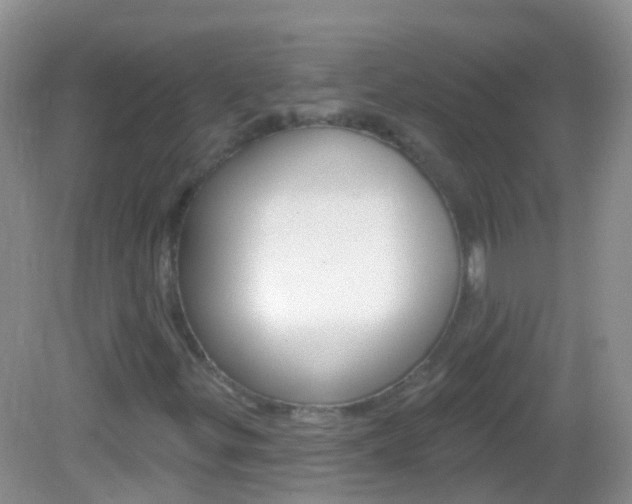 X0000082981299200702011158