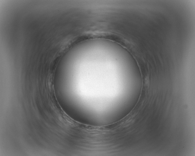 X0000082981300200702011158