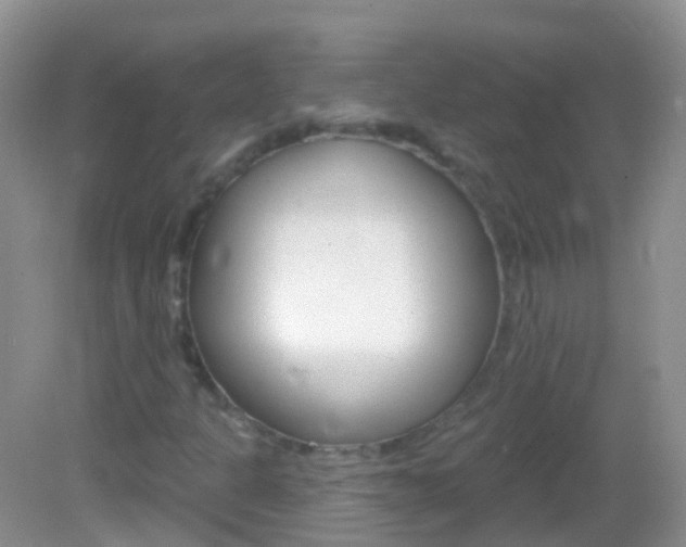 X0000082981301200702011158