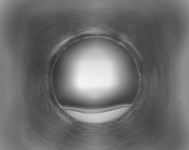 X0000082981304200702011158