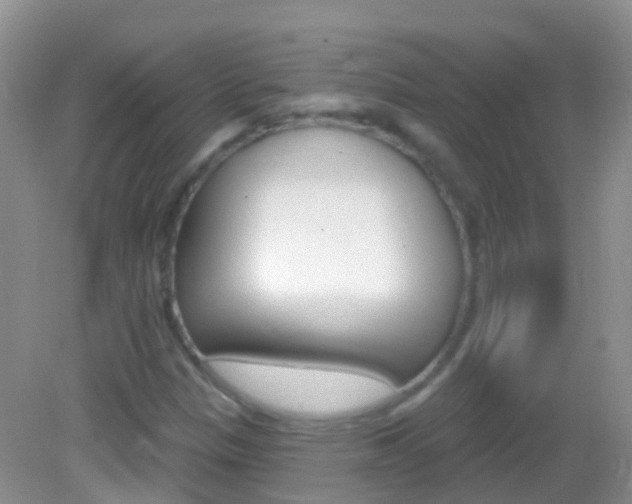 X0000082981305200702011158