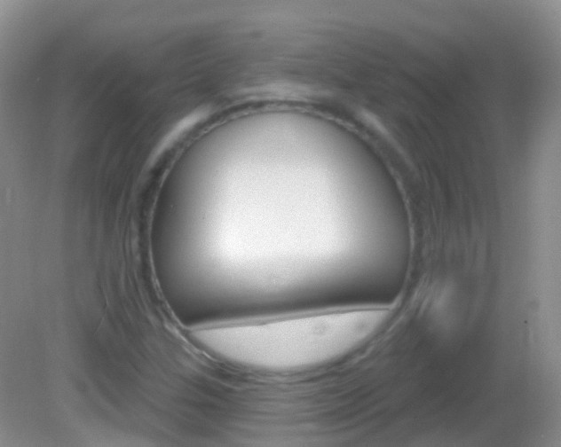 X0000082981307200702011158