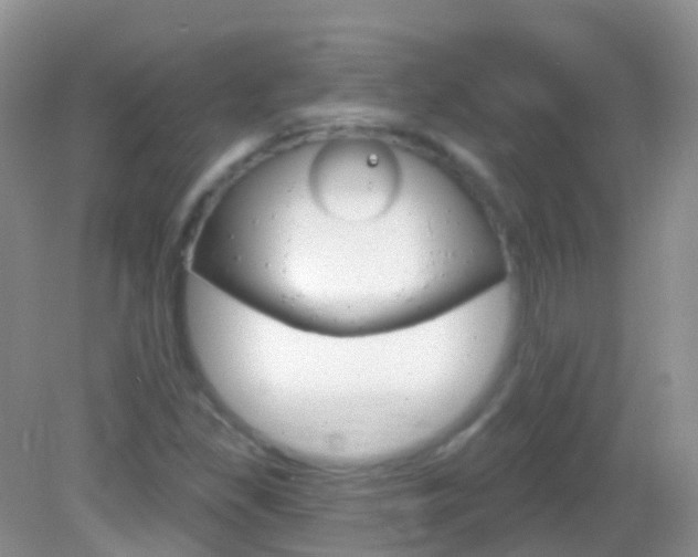 X0000082981309200702011158