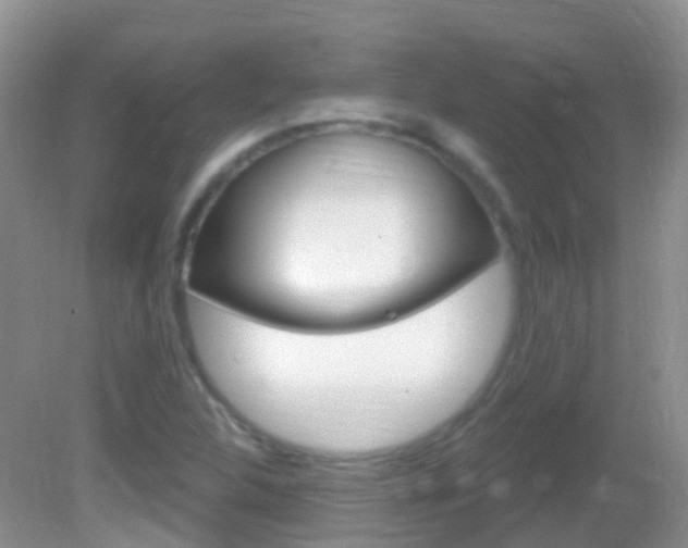 X0000082981312200702011158