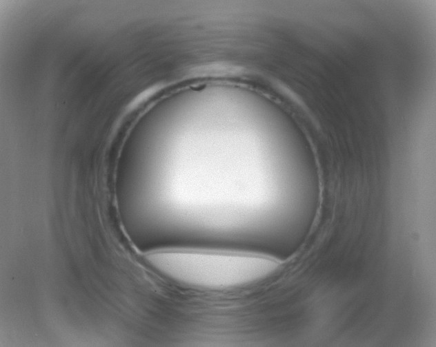 X0000082981315200702011158
