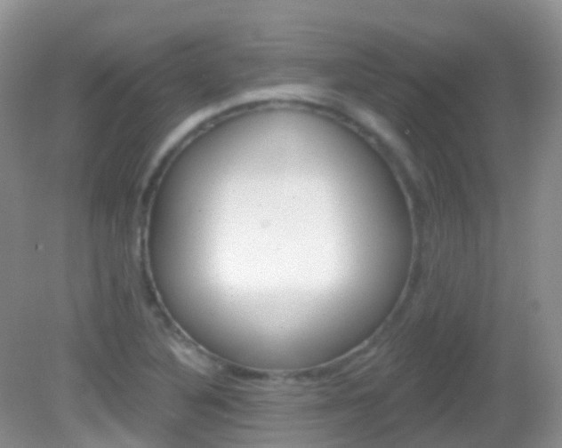 X0000082981316200702011158