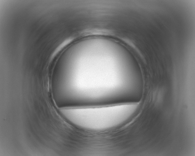 X0000082981317200702011158
