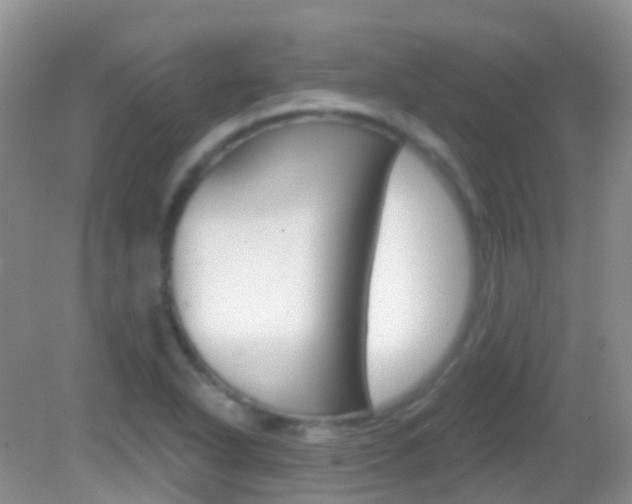 X0000082981318200702011158