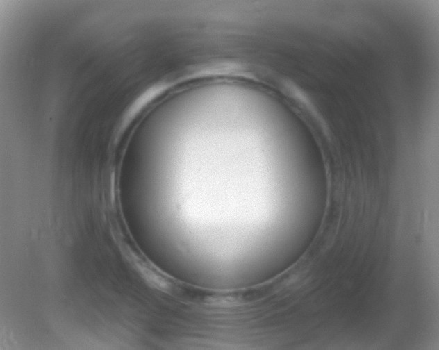 X0000082981320200702011158