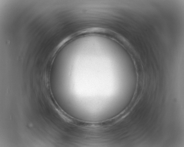X0000082981321200702011158