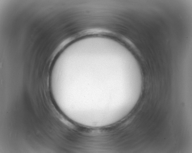 X0000082981322200702011158