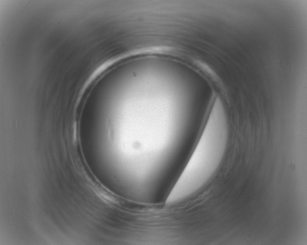 X0000082981324200702011158