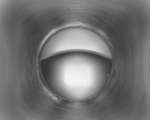 X0000082981326200702011158