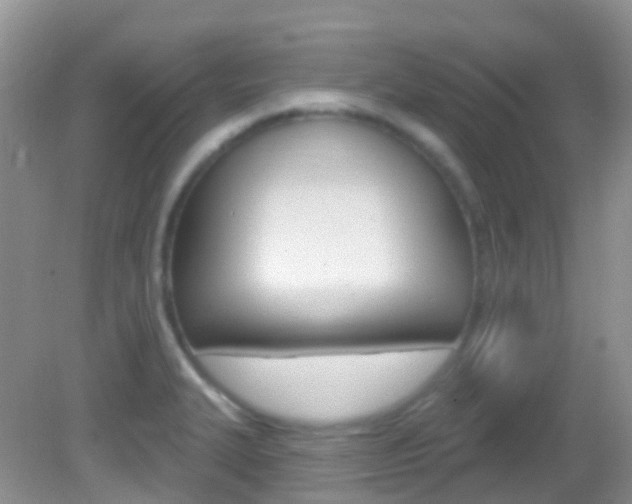 X0000082981327200702011158