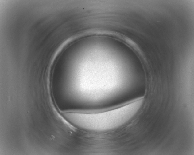 X0000082981334200702011158
