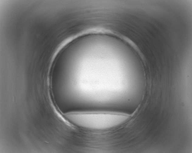 X0000082981335200702011158