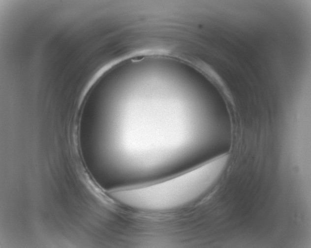 X0000082981340200702011158