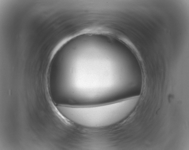 X0000082981344200702011158