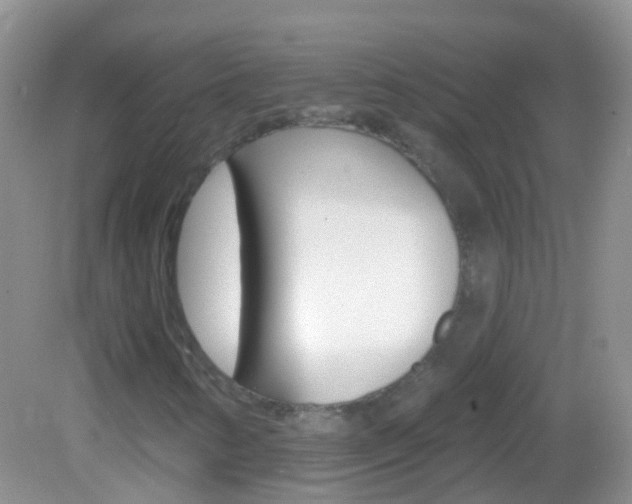 X0000082981346200702011157