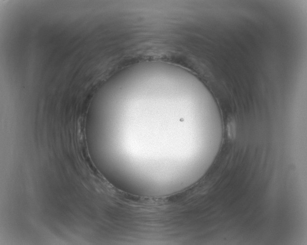 X0000082981347200702011157